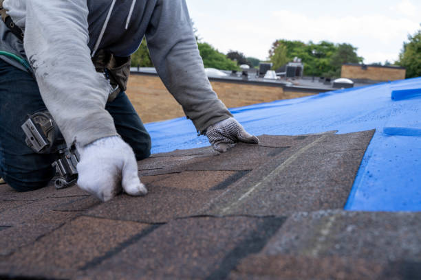 Gutter Installation and Roofing in Horace, ND