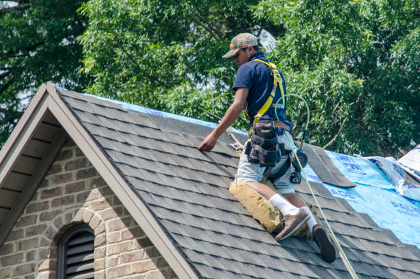 Best Roof Replacement Cost  in Horace, ND